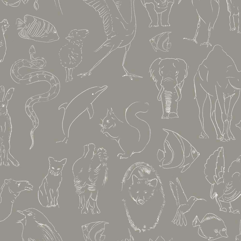 Panda - Bears & Animals Background Wallpapers on Desktop Nexus (Image  2667922)